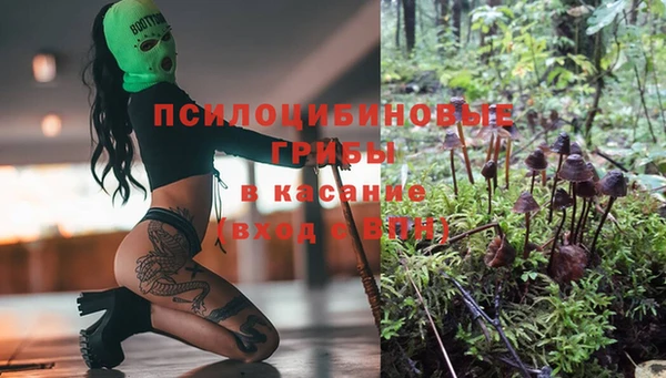 гидропоника Беломорск