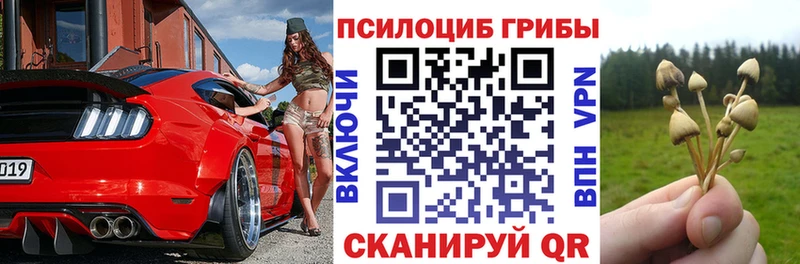 Галлюциногенные грибы GOLDEN TEACHER  Щучье 